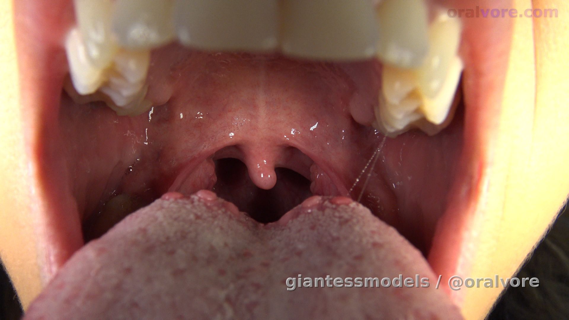 CLAV9 - Claudia wants to swallow you and she shows you how she will do it with 3 lucky fish -You’re a prisoner in Claudia’s house, and she plans to swallow you… but first, she wants you to see her swallow her other 3 little pets. She makes sure you can see and she also makes sure the fish can see each other get swallowed alive, then she puts them by her tummy to hear the screams of their friends. Are you looking? Good, cuz you’re next.

Time: 21:08

