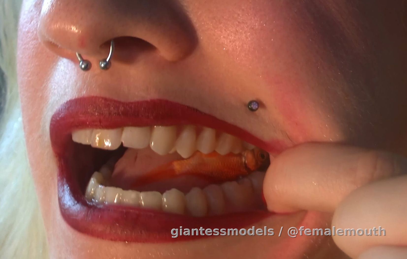 BA - Brutal Accent #4: In this episode, AI is used to:

a) stabilize image (no shake)
b) enhance video quality to 4K (high res)
c) add frames up to 120fps (slow mo)

It's the main, 