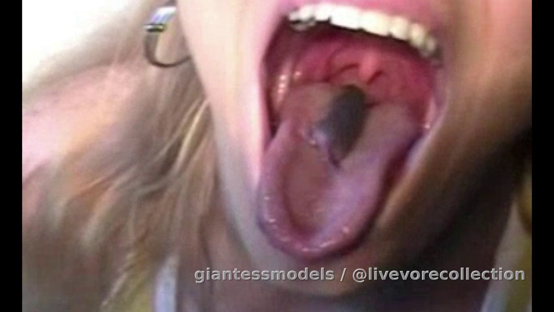 Mice vore with disposal