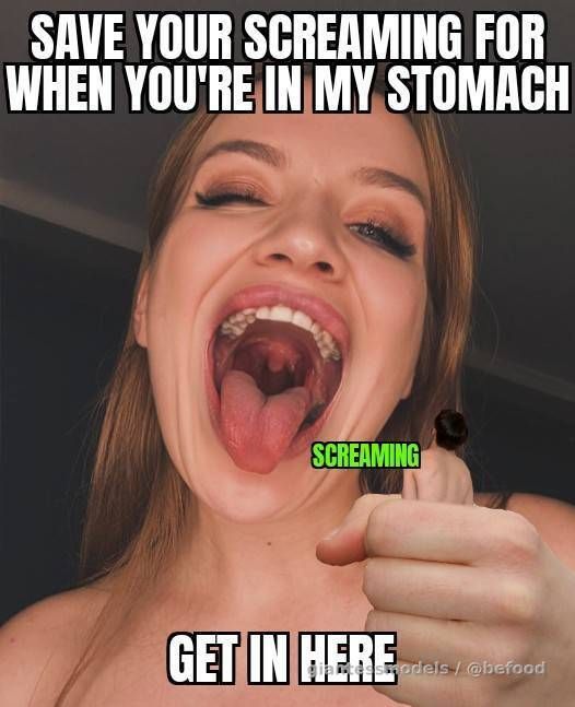 No Trace Last Chapter