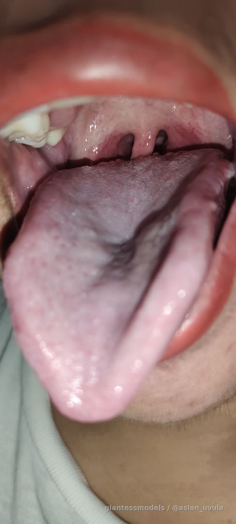 Mouth Tour