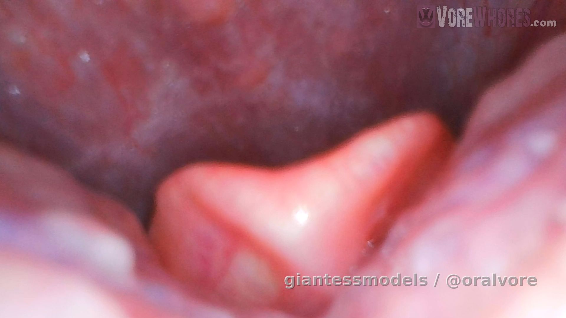 WV62 – Wink’s Endoscope Epiglottis – Wink was excited to use the endoscope for the 1st time and she was on a mission to show you her epiglottis. Wink opens wide from across the room, then comes for the endoscope fast and deep to give you a good view and virtual vore tease experience. NOTE: The endoscope has no microphone, so there is no audio on endo clips.