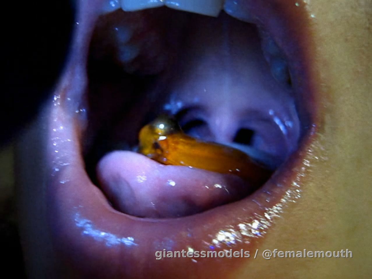 A lot of SOFT vored fishes in a glass and then one by one by the QUEEN! Enjoy!