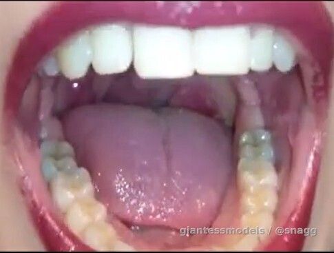 old ANT VORE gem. She chews some, others get swallowed and digested alive. 