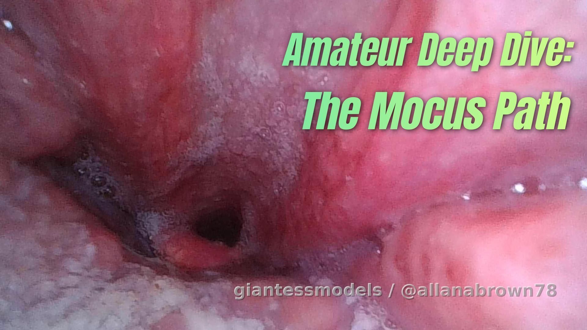 Amateur Deep Dive: The Mucus Path 😝 ENDOSCOPE (with sound)

Curiosity took over, so I grabbed the endoscope and went in for a closer look. What started as a simple experiment turned into a fascinating little journey—textures, movement, and that slippery path revealing more than expected. Amateur, raw, and oddly satisfying to explore. 🔍✨💦
Would you want to be inside?

😂😈😈