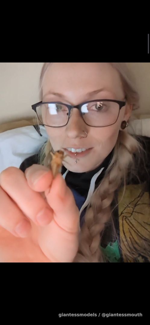Cricket swallowed