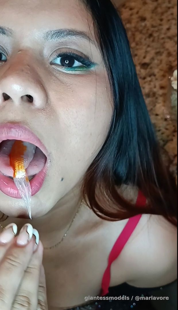 Swallowing my goldfish friends and eating peanuts to see where they are in the disposal, they turn into calories to my body...


Full long video 20 min