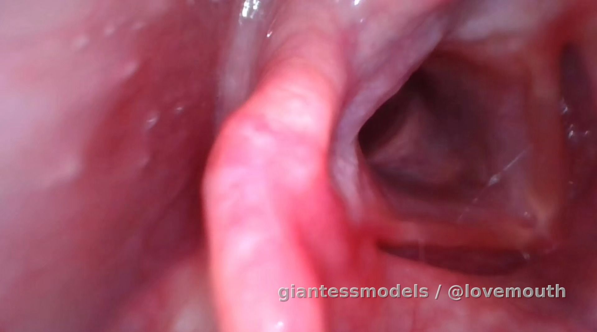 A girl uses a gastroscopy to observe her digestion.