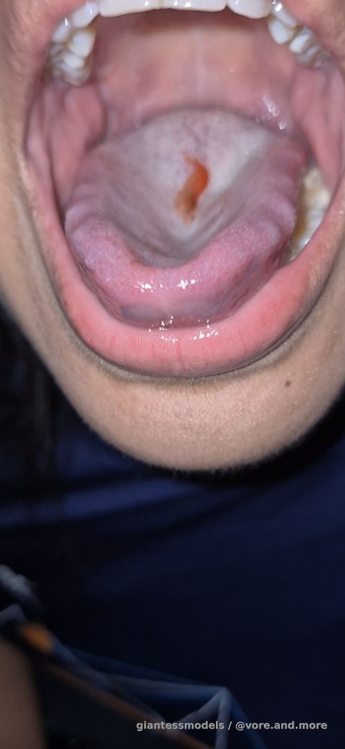 Swallow live cherry shrimp