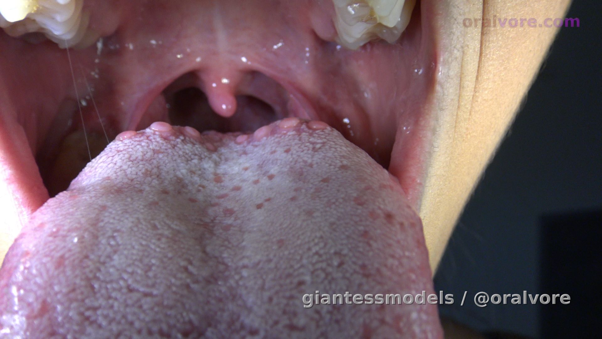 CLAV13 – Claudia VS. The Biting Eel – Claudia pops the lid and smells her prey. “Mm, they smell good.” Great open mouth swallow footage… not like Wink or Kim, but really good for a newbie. The black eel really puts up a fight and actually bites Claudia, twice… but he failed to consider that Claudia bites back, and he just made his punishment escalate 10 times. Claudia gets her revenge as he slides right down her throat, head first.