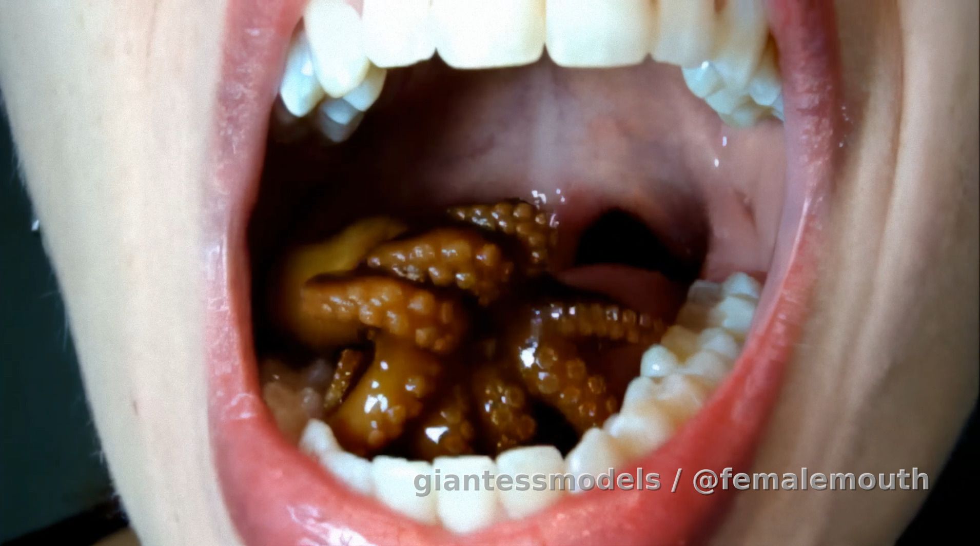 Octopus Swallow - food play with sexy mouth!