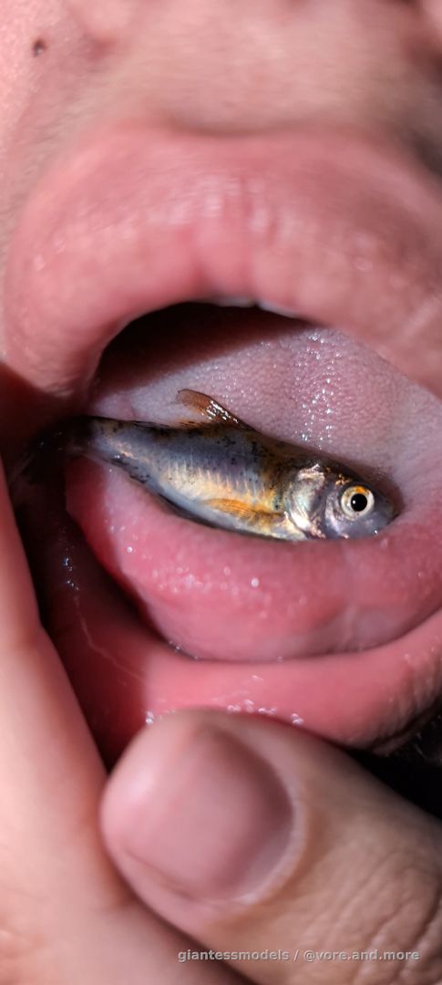 Close up fish swallow with friend fingers 