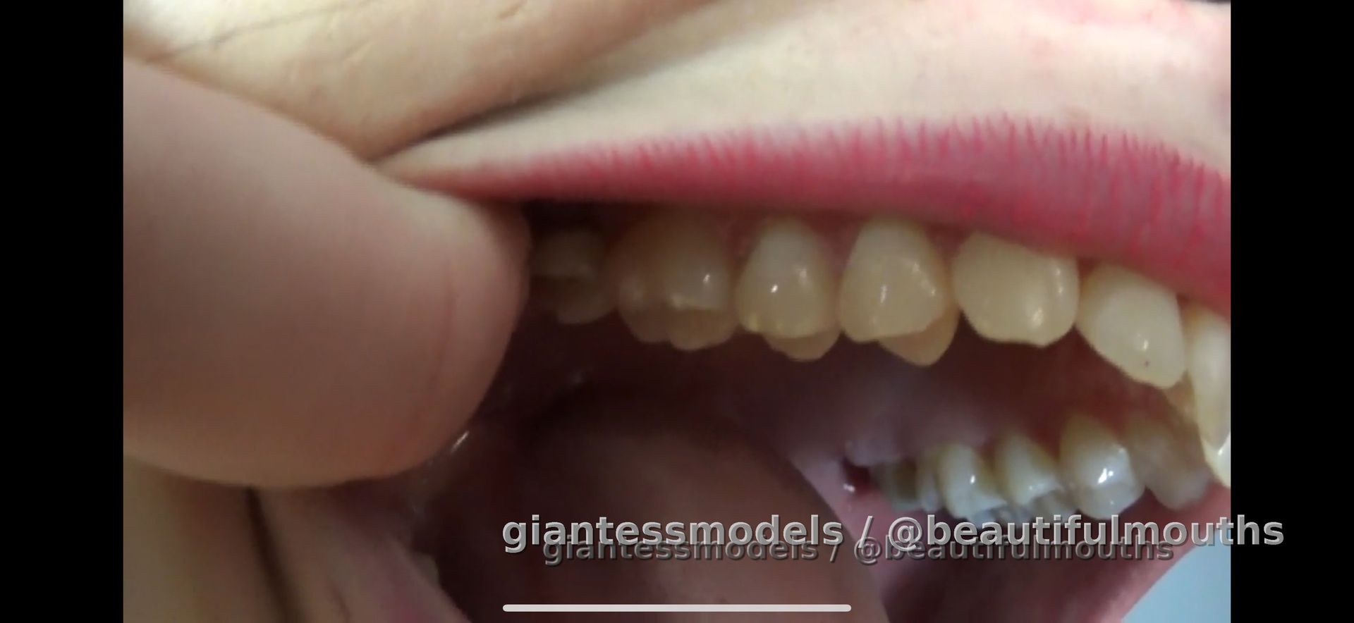 Jazmine mouth tour