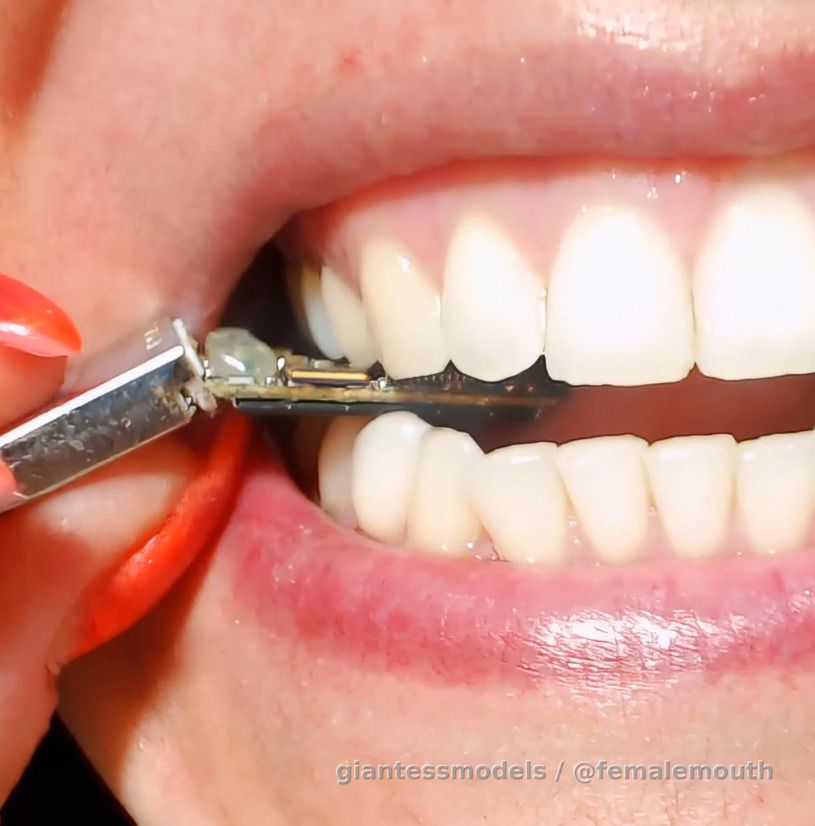 Angie chewing a memory stick... well... this USB won't work anymore...