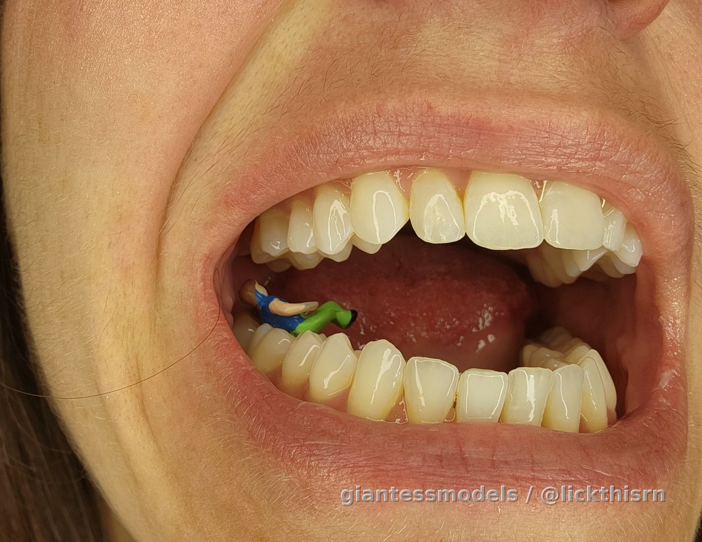 HELP! I've been invaded by tiny people! Which one are you? (23 high quality pics, close up)