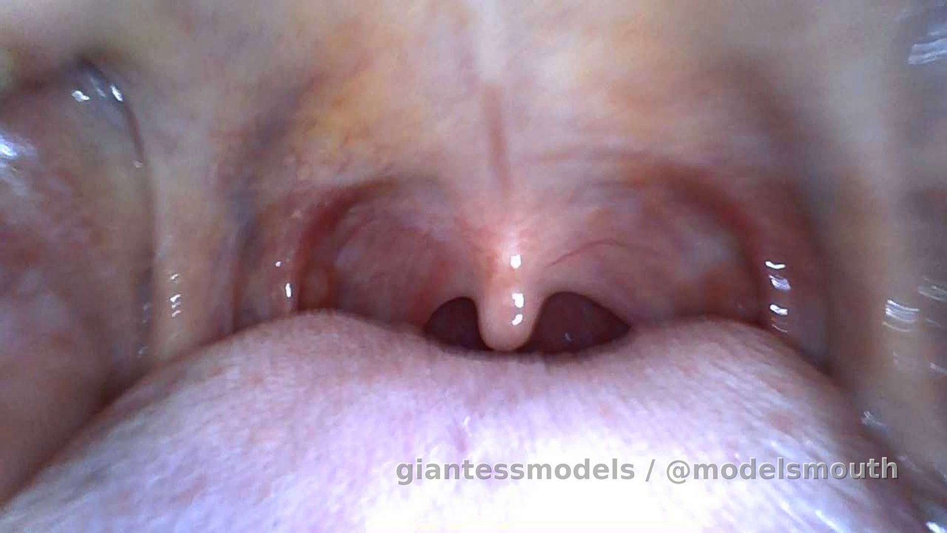 Bailey Interior Tour