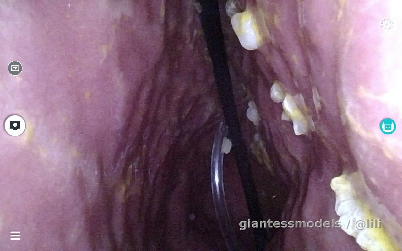 Deep in my stomach after dinner