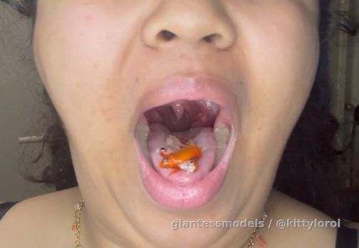 Eating 10 fish, Along with some Spaghetti, sounds and taste amazing

|close up to my mouth don’t worry|
|BellyPlay/Stuffing/BodyWorship/Burping|
/LIVE\
      |15mins|