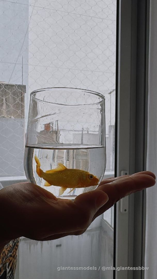 Ask me your custom🐠