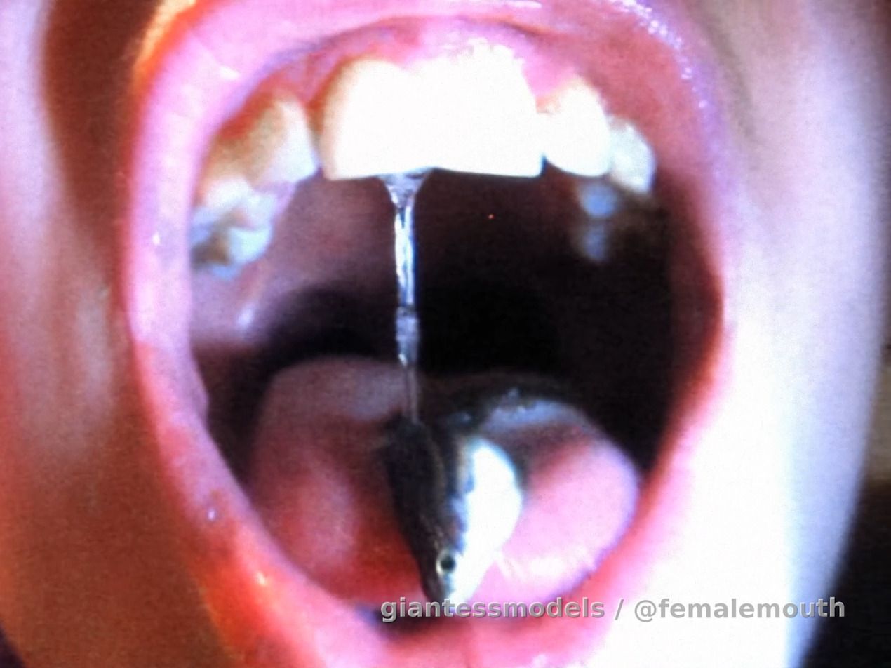 Zera chewing a fish, starting to cut it in pieces between her beautiful, straight incisors! A short, but sexy clip!