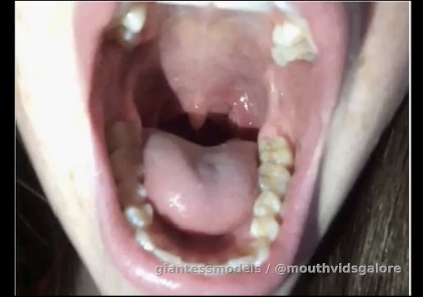 Abbie Closeup Tour 