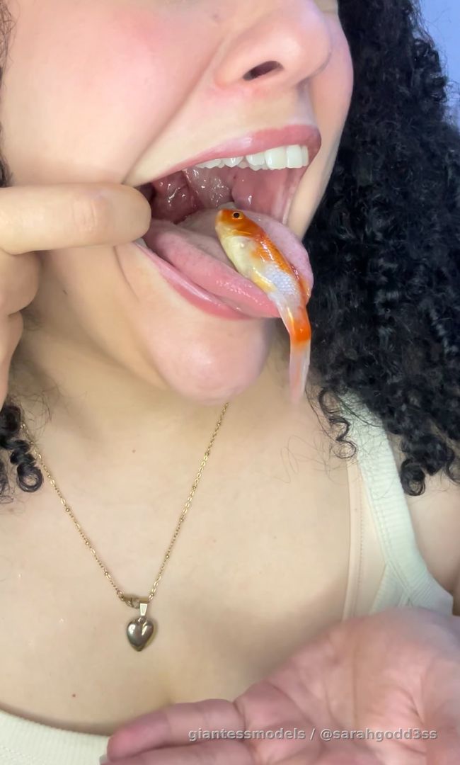 A big fish being swallowed so easily 