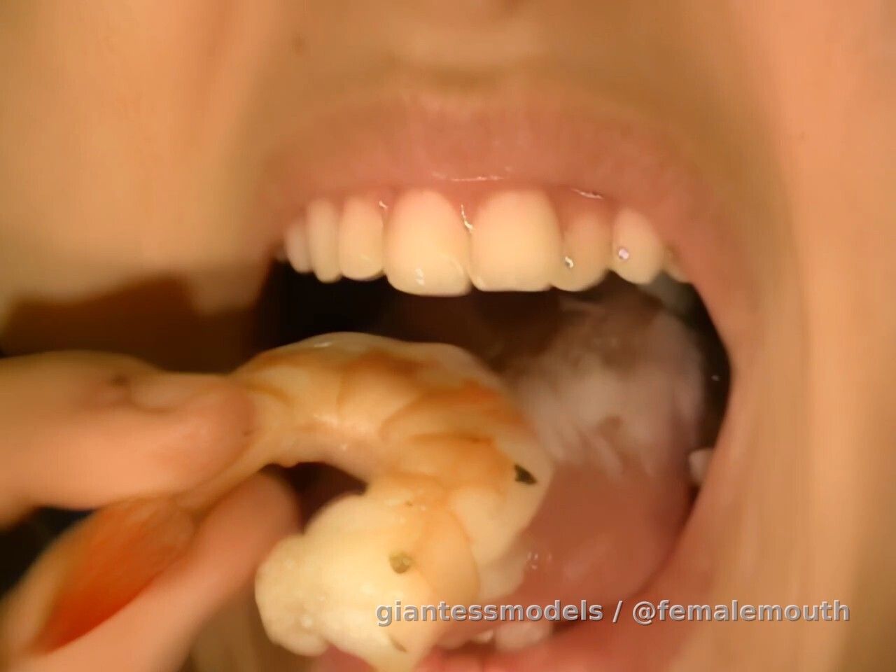 Chewing of shrimps with the strong and sharp, misaligned teeth of Misti !!!