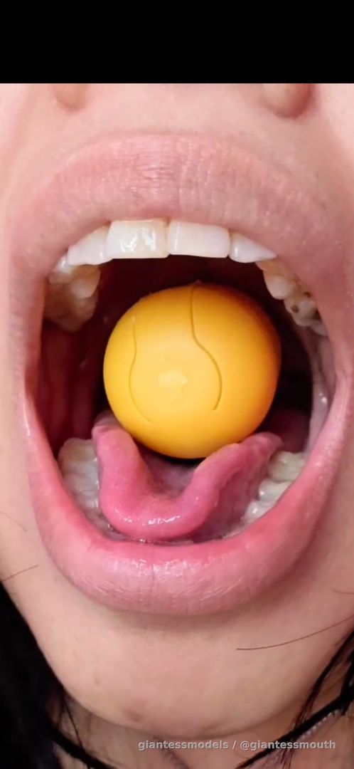 Kinder surprise egg swallowed whole !