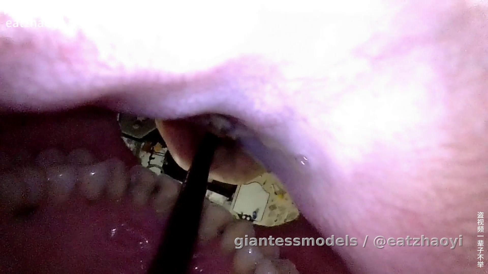 2025_10_22_倒置内窥看舌头上颚➕喝水➕有少许干呕咳嗽声➕从口腔向嘴巴外看➕10分钟1 Drinking with Endoscope