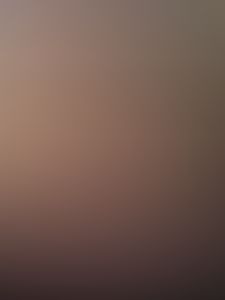 I tease with two mice. This time, I turned off the filter so that everyone could see my real self. Everyone always thought that I was AI, but that's not who I am. I'm not AI.