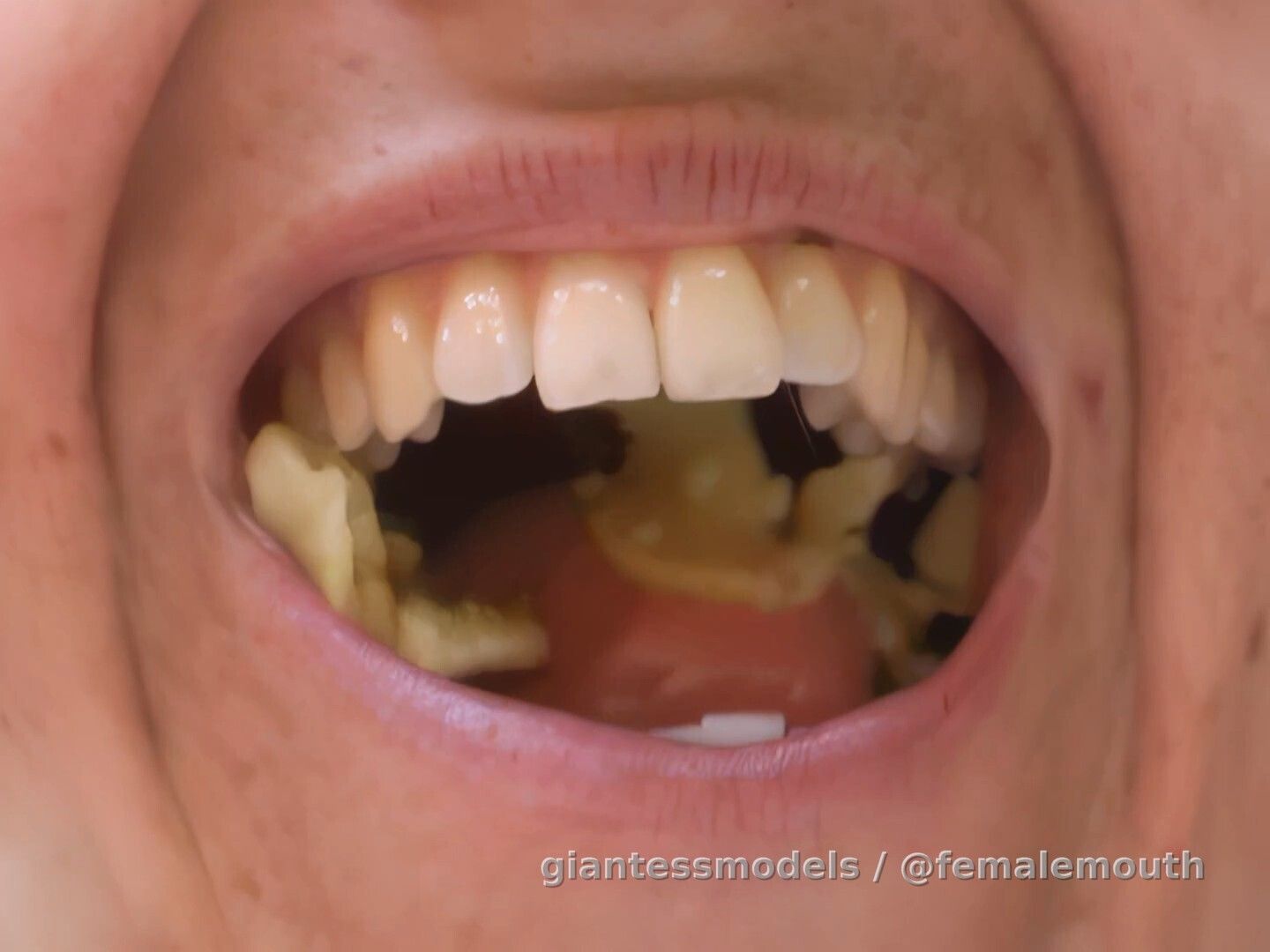 So, Beatrice here... she was my first ever online found of a pretty woman, chewing a crab alive! You will see that in the next clip. But now, prepare and enjoy her mature, powerful mouth as she grinds different food and textures! She is very pretty and sexy! And strong!!!