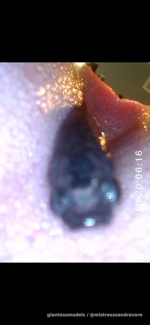 Later, this vídeo going to be avaiable up Here (: 