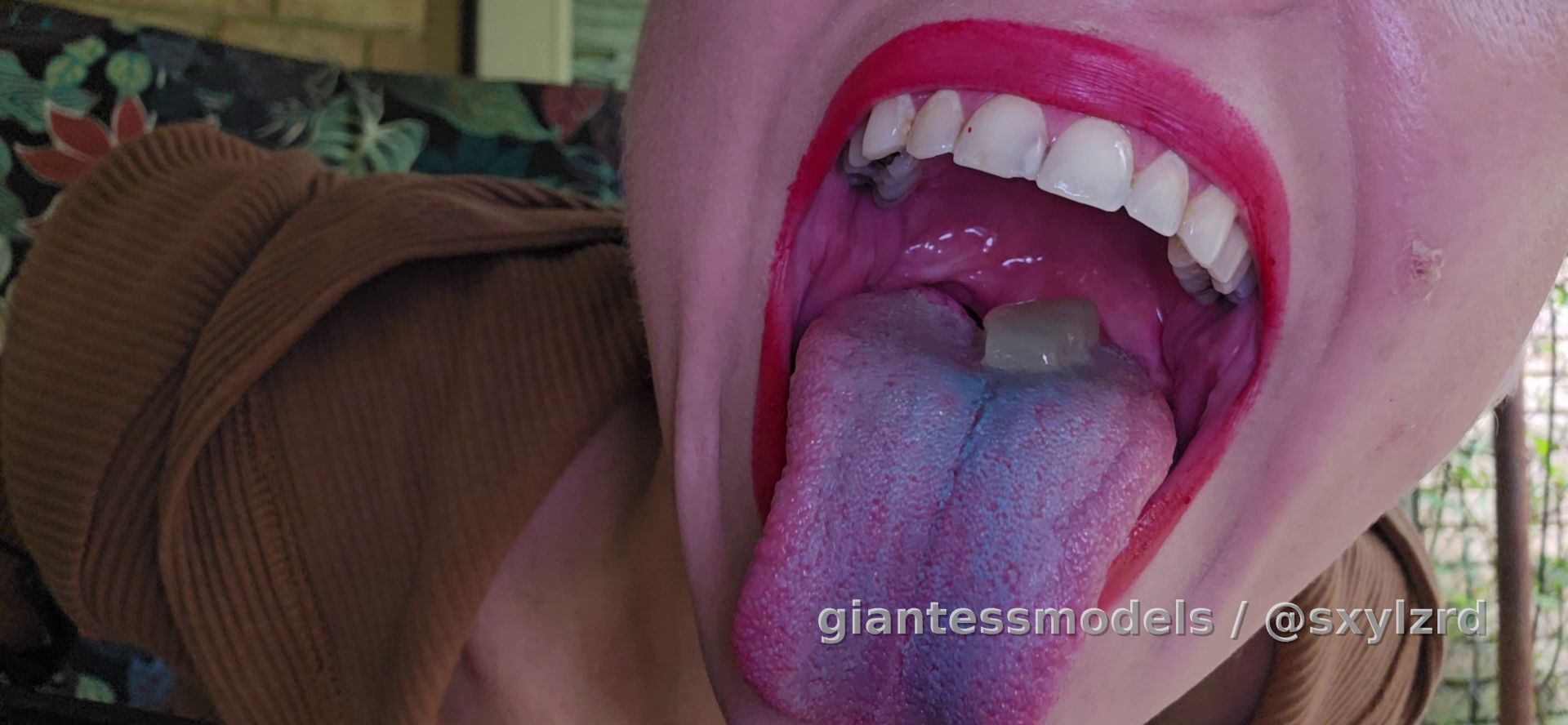 Lzrd Lust Swedish Fish Desire