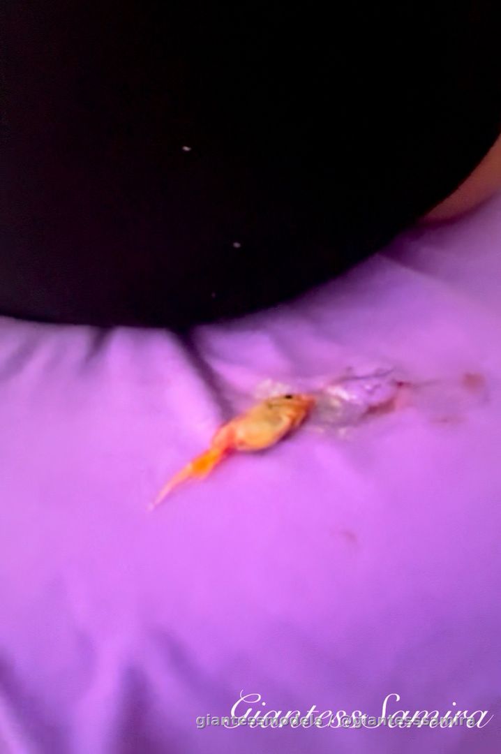 Samira secretaria toma a su jefe pez 🐠 y los tortura excitándose mientras lo sofoca y aplasta con su trasero y moviendo sus caderas suavemente hasta acabar con el. Buttcrus fish. 😈 🐠 
