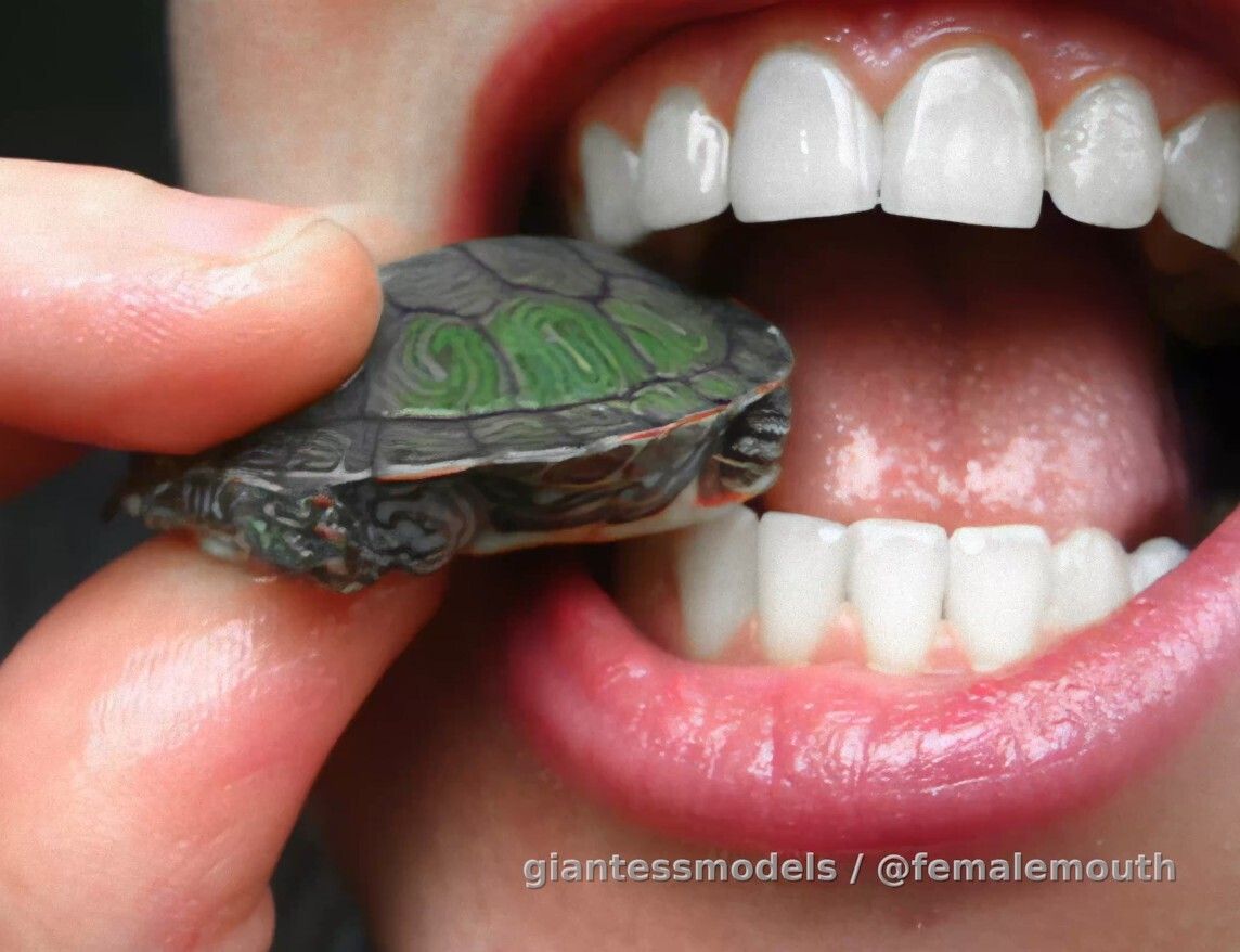 Is it AI? Or it's real life feeding of a pretty predator? Decide for yourself! It's clear 30fps 2560x1920 video of 12min. You can call it expensive, or you can collect it as a real HARD VORE fan!

It's The Queen - Zera! A lot of younger guys doesn't have idea who she is! Enjoy the clip while it lasts!

The female predator is hungry! She catches her prey and directs it into her mouth. Strong jaws and hard cusps she need to penetrate the tough shell and she has it all!

WARNING - 2 turtles (real or AI) are brutally turned into a mess inside a hot, chewing female mouth!