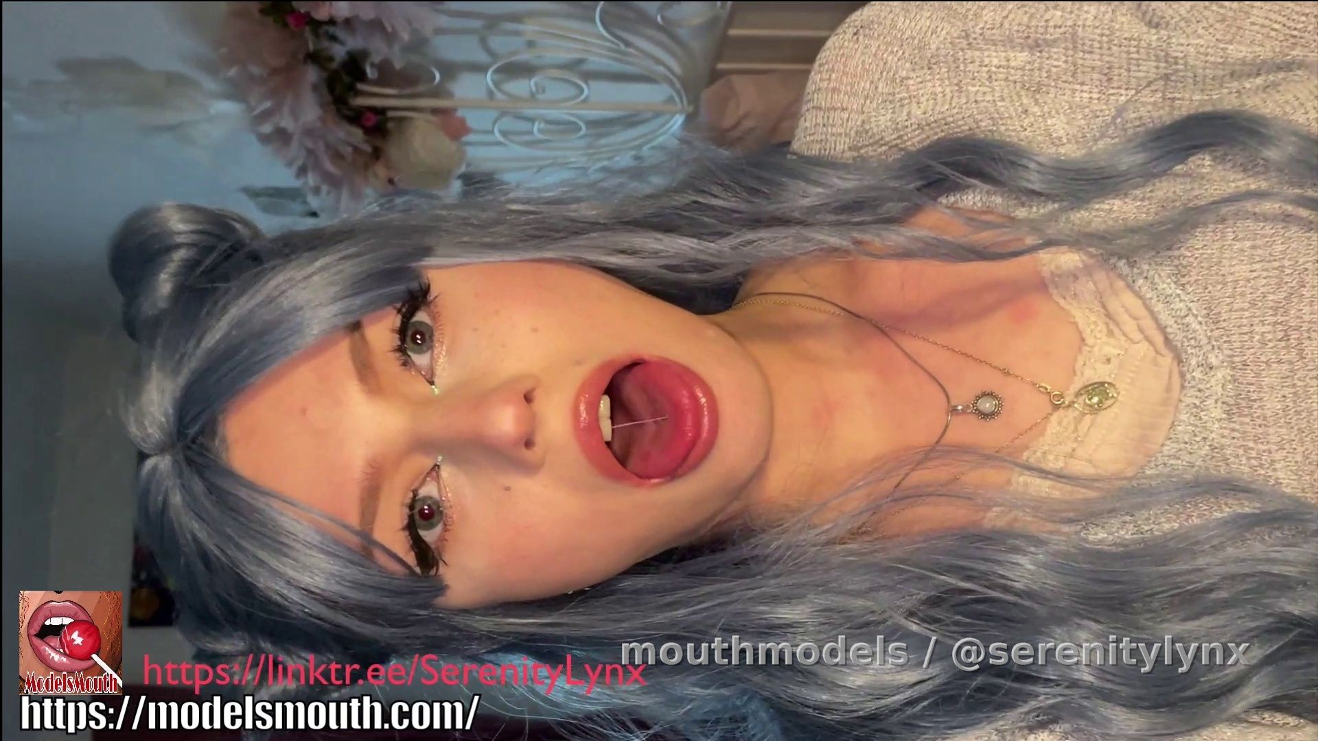 Mouth tour ( 3 minutes )