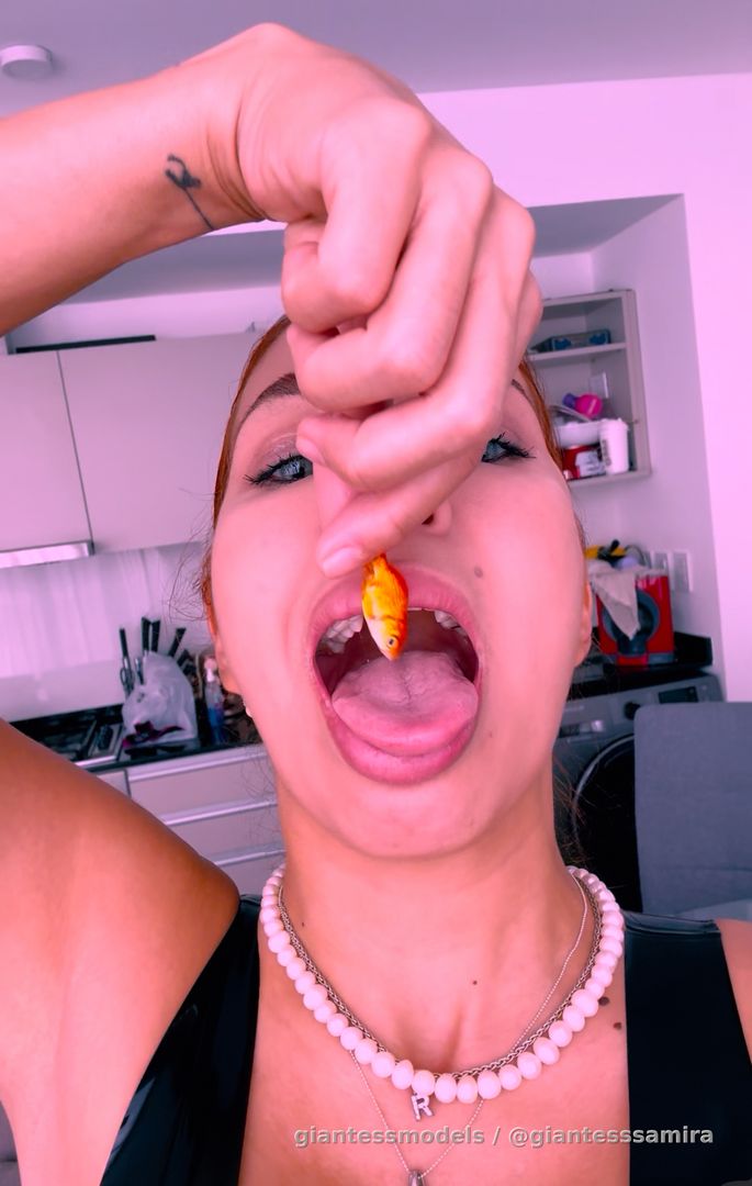 Do you want to see me in action? Write me a private message