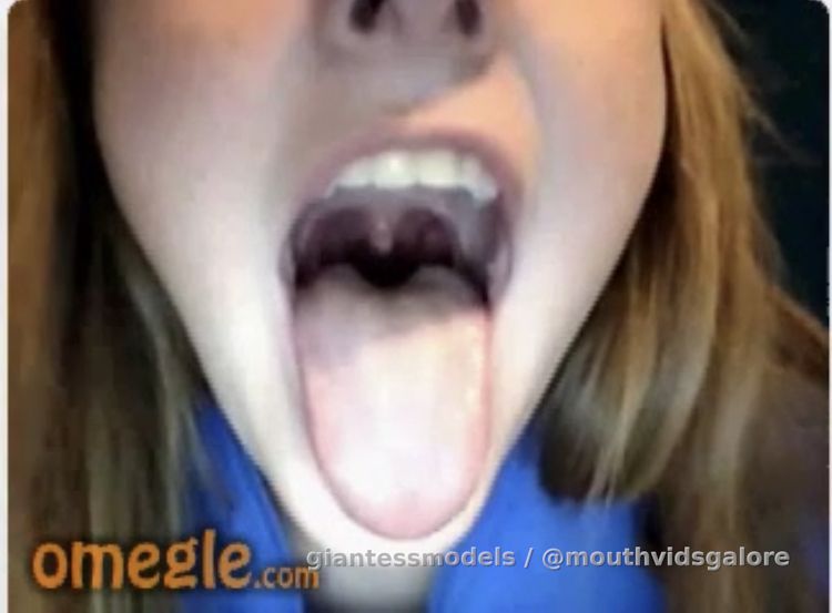 Old Omegle Video 358: Far View Tour