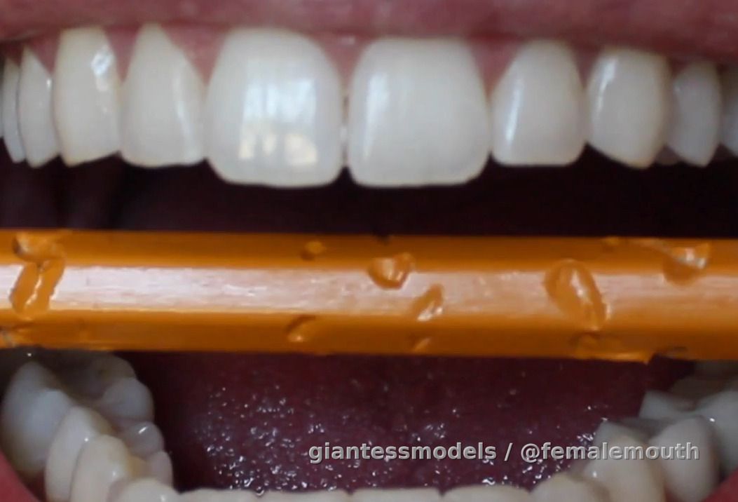 Candy Box - HD Strong Jaw Sharp Teeth Destroy No 2 pencil