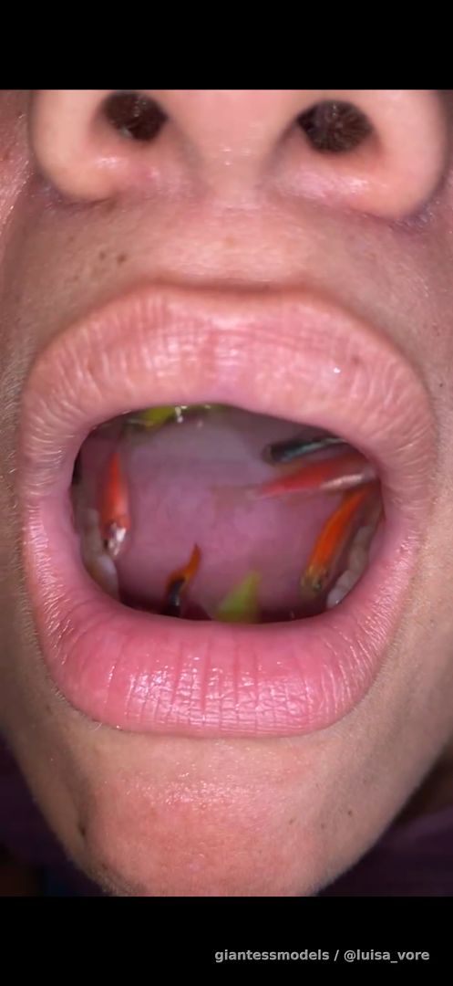 10 fishies one swallow 