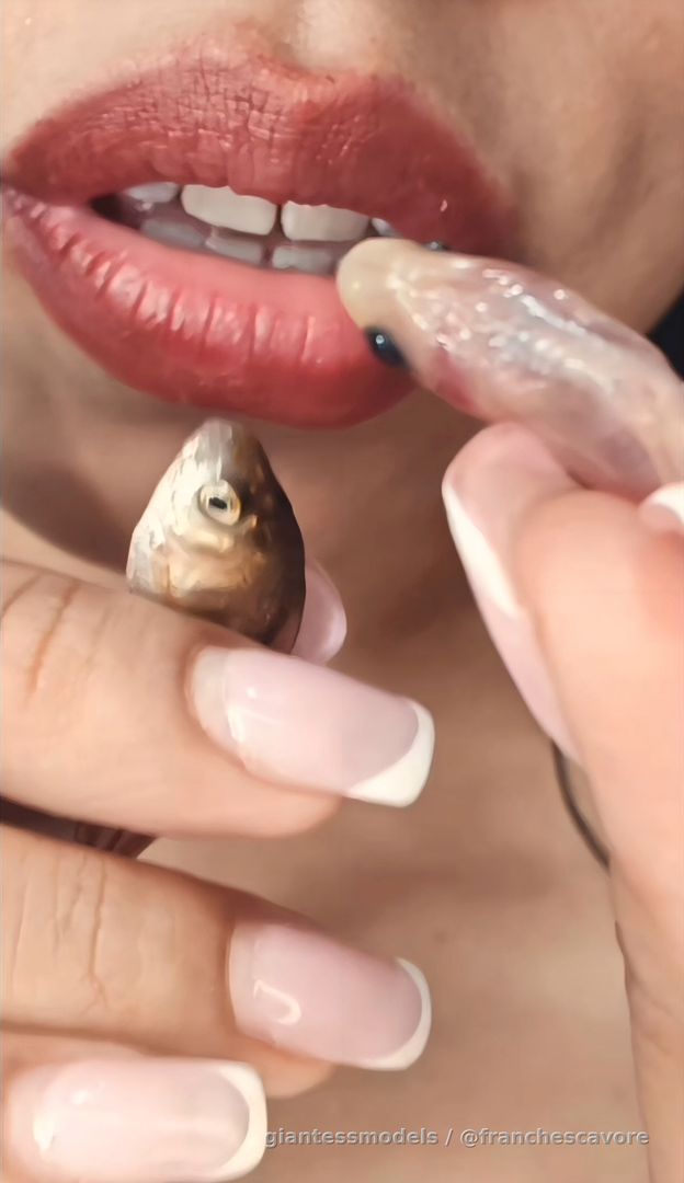 Live vore 