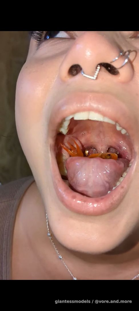 Swallow fat goldfish