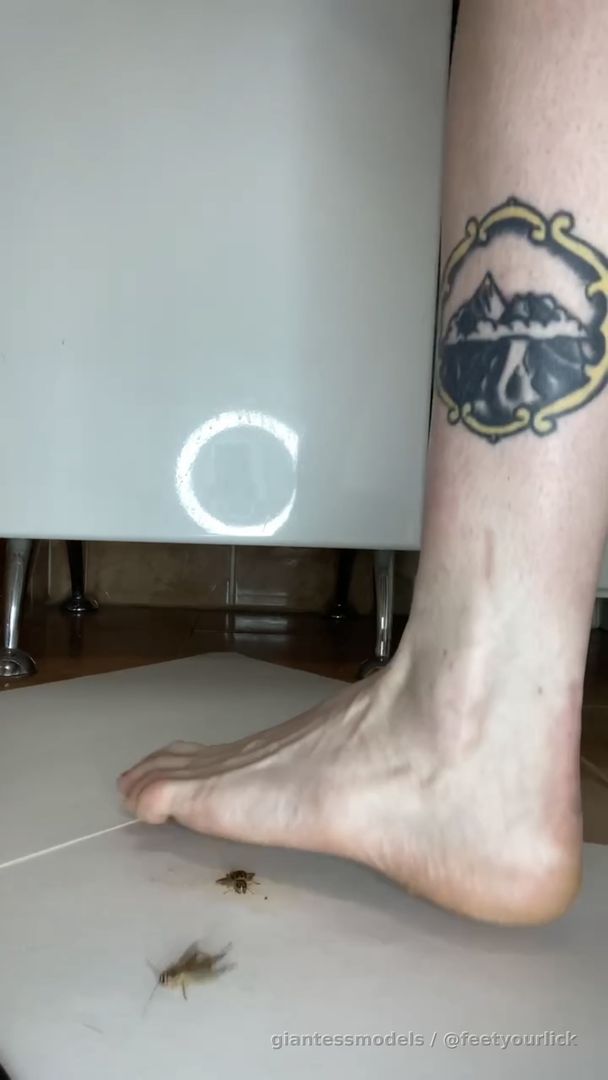 Crickets crush with bare feet