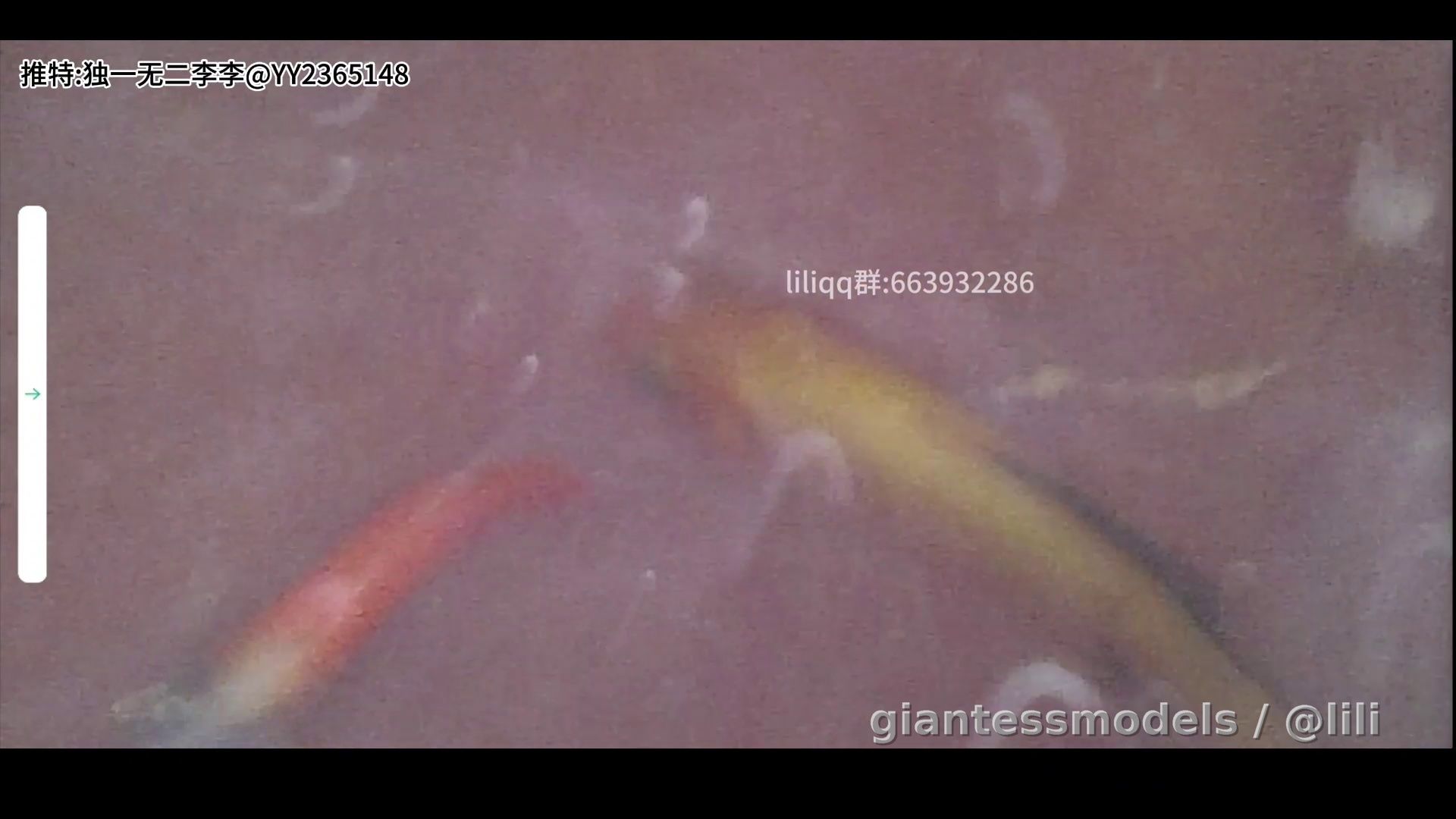 Endoscope fish swallow