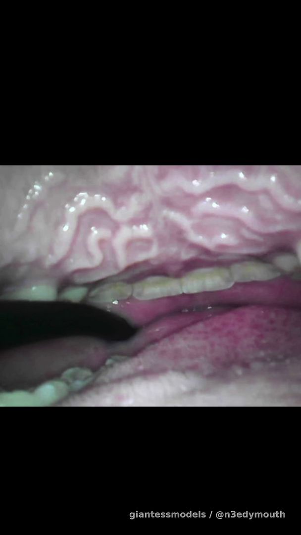 mouth tour and licking