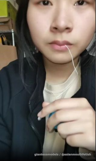 String vore video collection, cheap package for sale, collection two