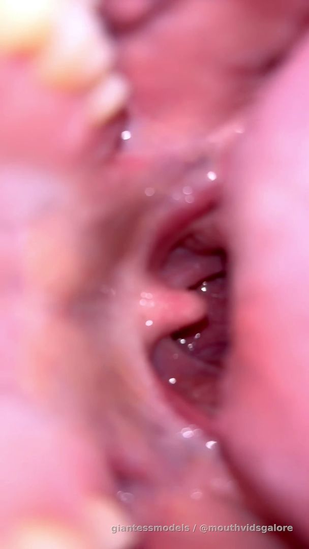 Cecilia Closeup and Interior Tour