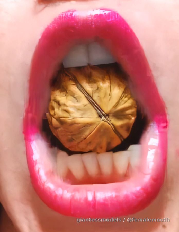 Wallnut crushing shell and chewing to mush!