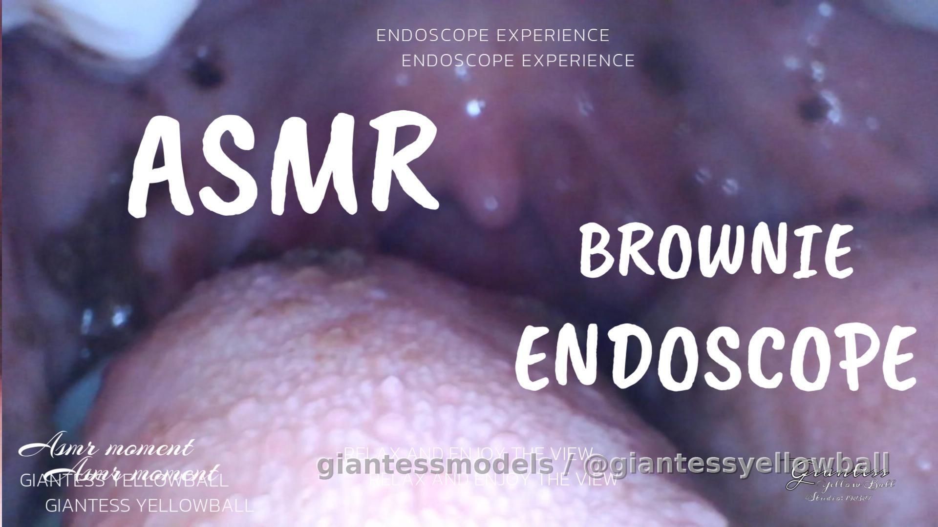 Brownie endoscope