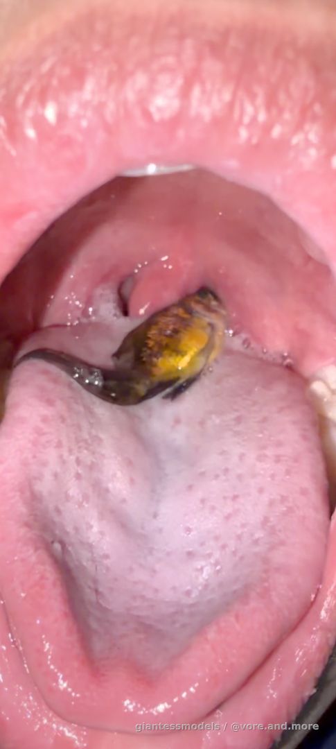 Open mouth fish swallow 